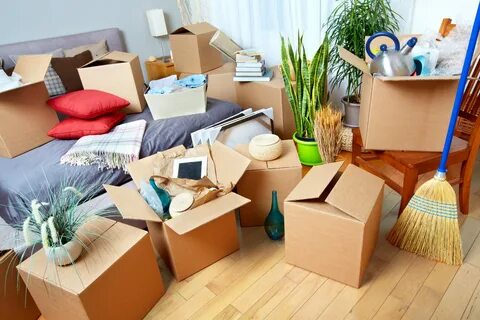Home Movers in Abu Dhabi