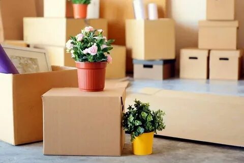 Best Home Movers in packing services Abu Dhabi